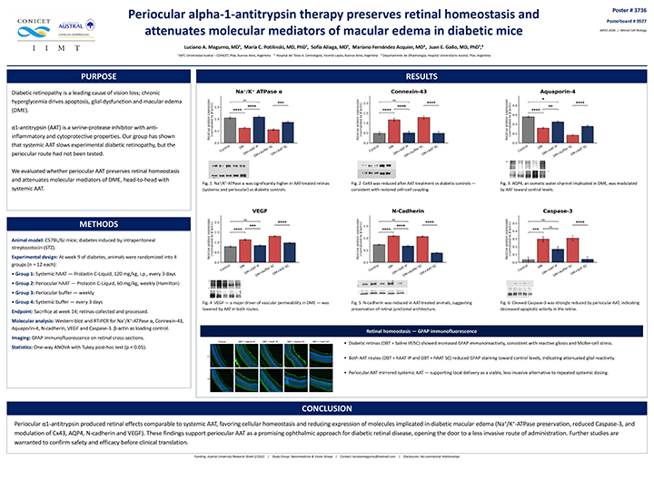 Nuevos avances en retinopatía diabética: investigación liderada por el Dr. Luciano Magurno fue presentada en ARVO 2026 El póster sintetiza los principales resultados de la investigación